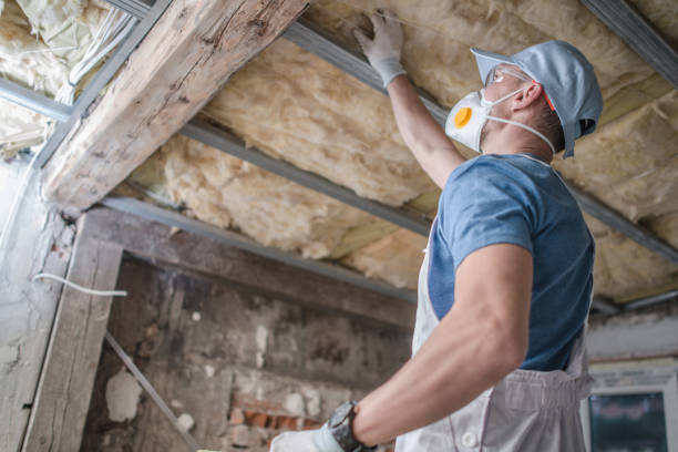 Best Insulation Maintenance and Repair in Highland Rk, PA